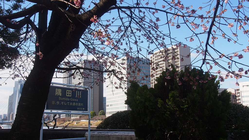 P1010829